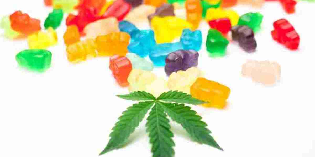 CBD Gummies Market: Consumer Preferences and Industry Insights