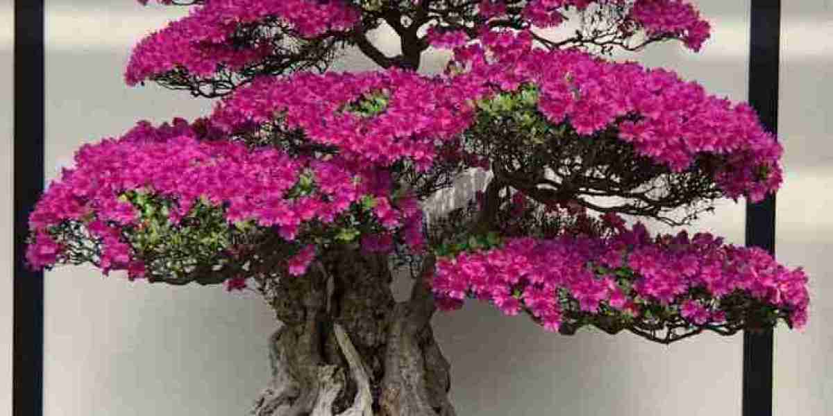 Bonsai Market Competitive Dynamics and Strategic Analysis for Industry Leaders in a Changing Landscape