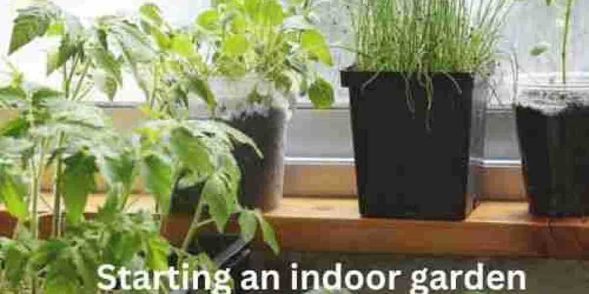 When is the Best Time to Start Indoor Gardening?