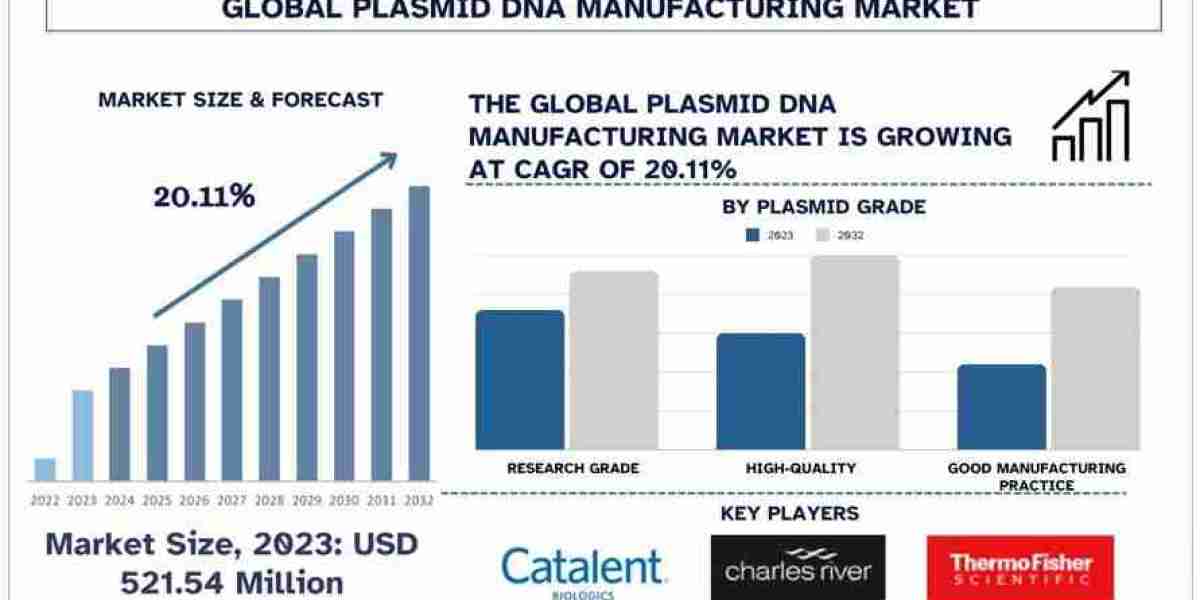 Plasmid DNA Manufacturing Market Analysis by Size, Share, Growth, Trends and Forecast (2024–2032) | UnivDatos