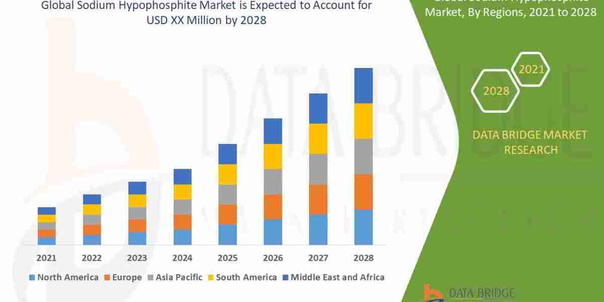 Sodium Hypophosphite  Market Insights and Growth Trends 2028