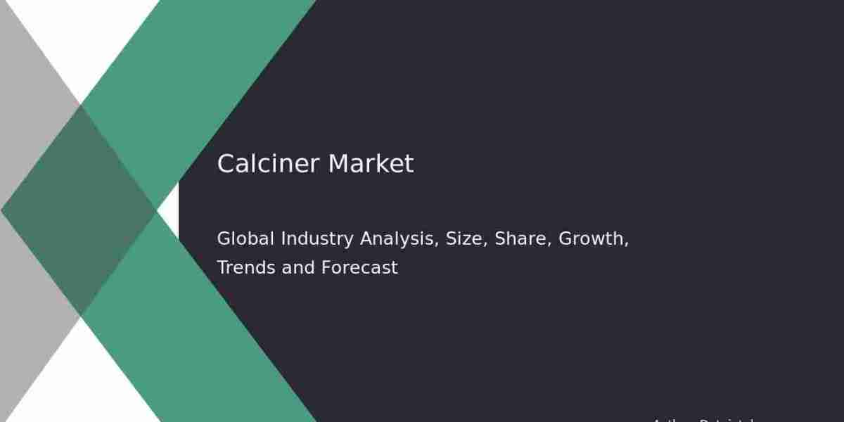 Comprehensive Report on Calciner Market Share and Growth