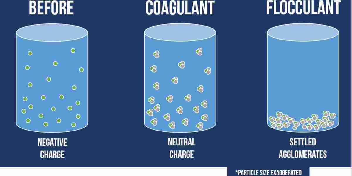 Flocculant and Coagulant Market Innovations Transforming the Water Treatment Industry with Sustainable Solutions