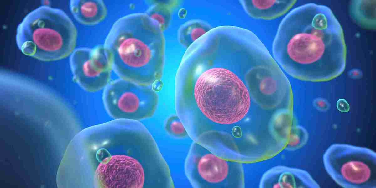 Autologous Cell Therapy Market: Exploring the Potential of Innovative Healthcare Solutions