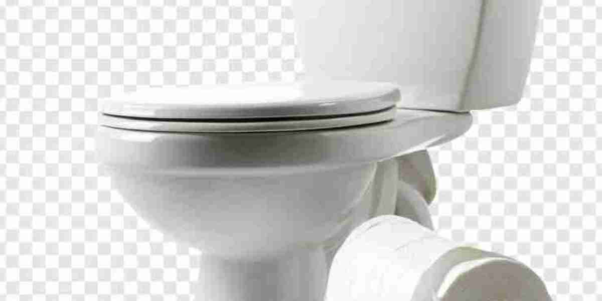 Toilet Seat Market Impact of Consumer Comfort and Hygiene Needs