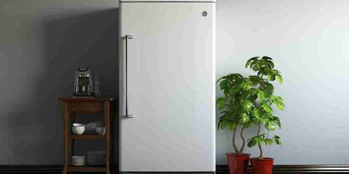 Understanding the France Household Side-by-Side Refrigerator Market: A Comprehensive Guide for 2023-2033