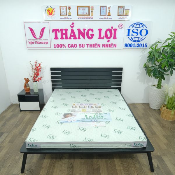 Top 5 Cửa Hàng Bán Nệm Cao Su Non An Giang Chất Lượng Cao - KHO NỆM THẮNG LỢI