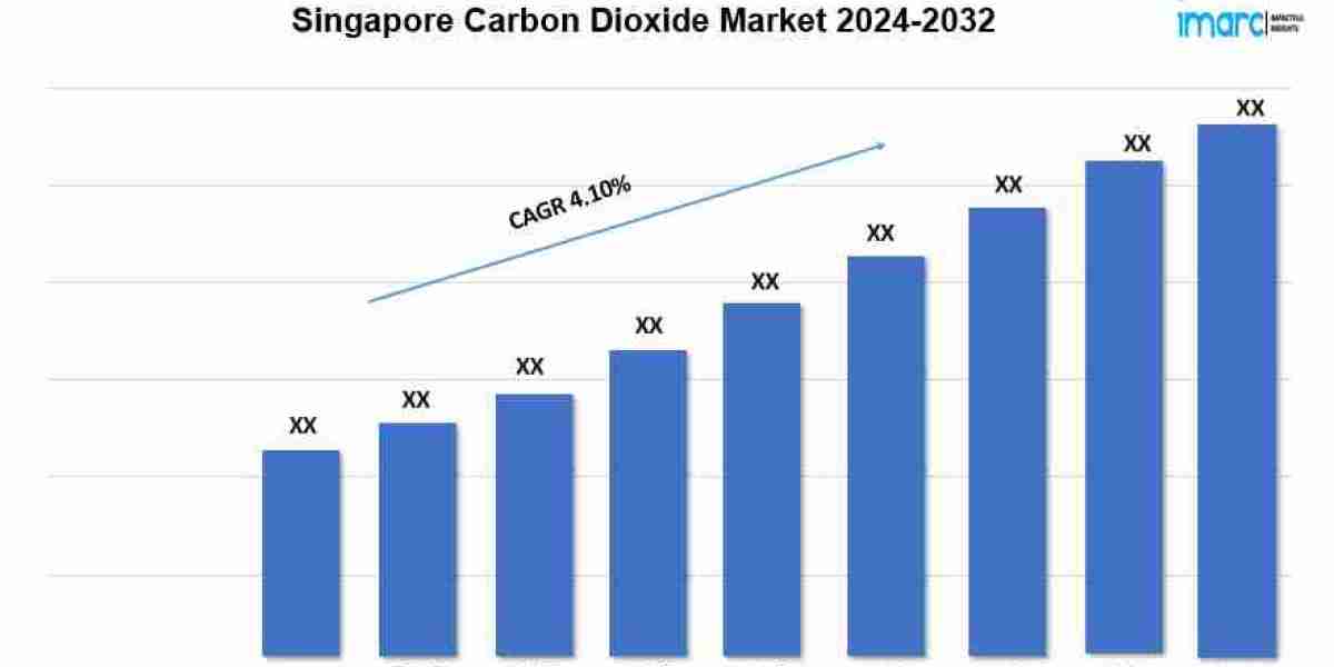 Singapore Carbon Dioxide Market Demand And Growth Opportunity 2024-2032