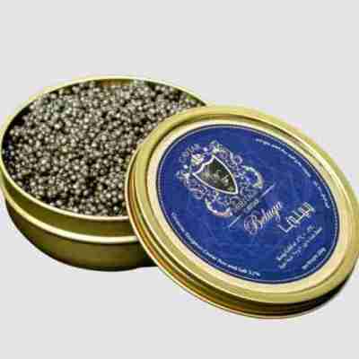 Caviar Persian Beluga Huso Huso Profile Picture