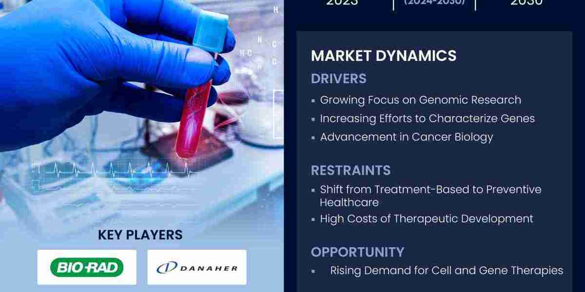 Precision Medicine Market: From Genomic Insights to Patient-Specific Treatments