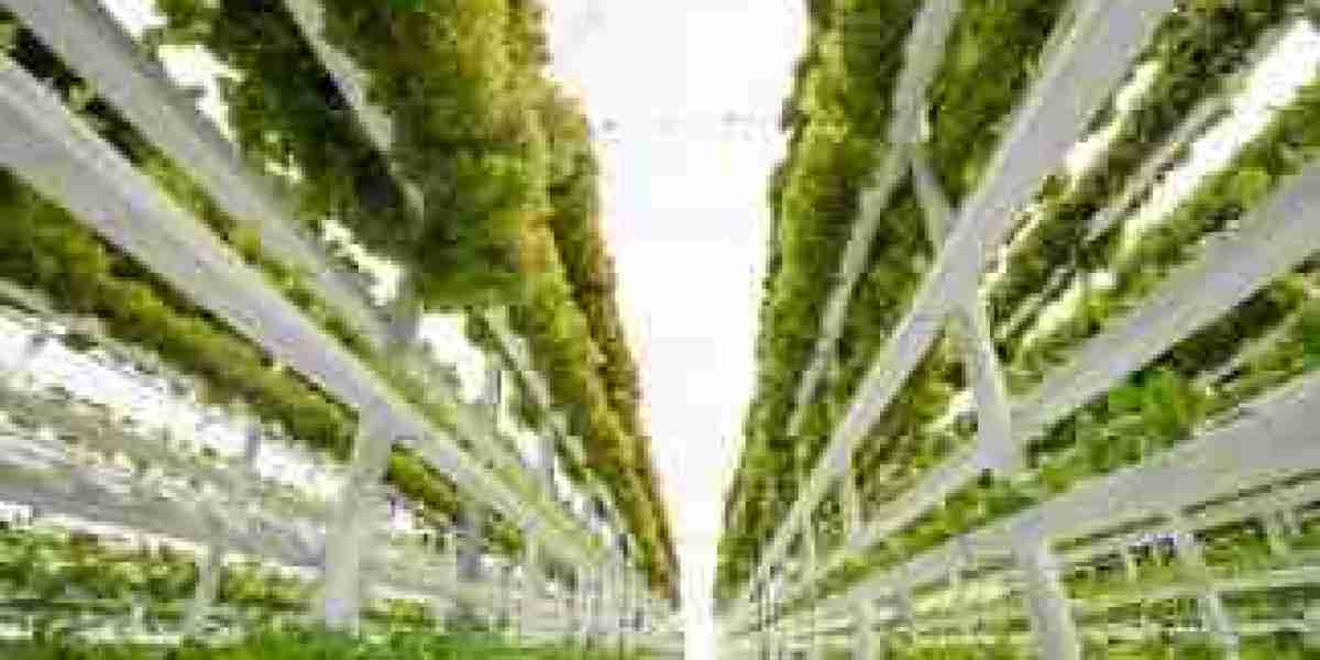 Vertical Farming Market Share, Growth, Emerging Trends, Pricing Analysis & Future Demand [2031]