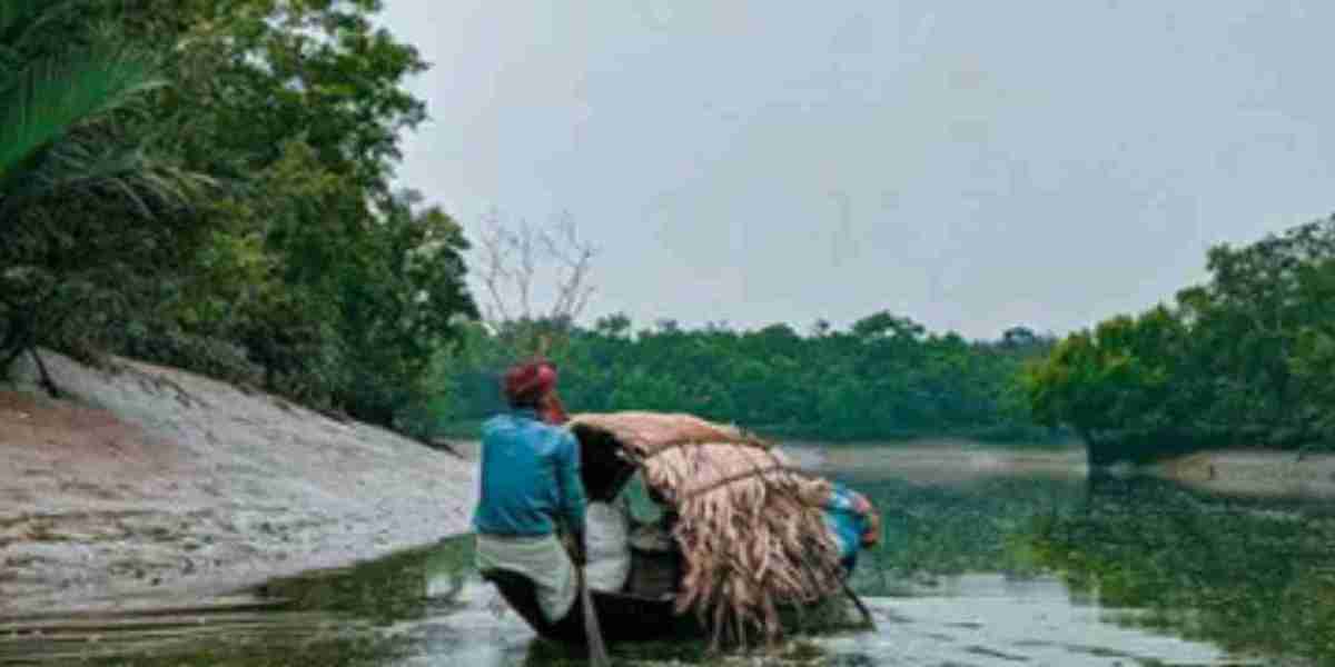 Explore the Beauty of Sundarban: A Perfect Sundarban Tour 2 Night 3 Days Adventure