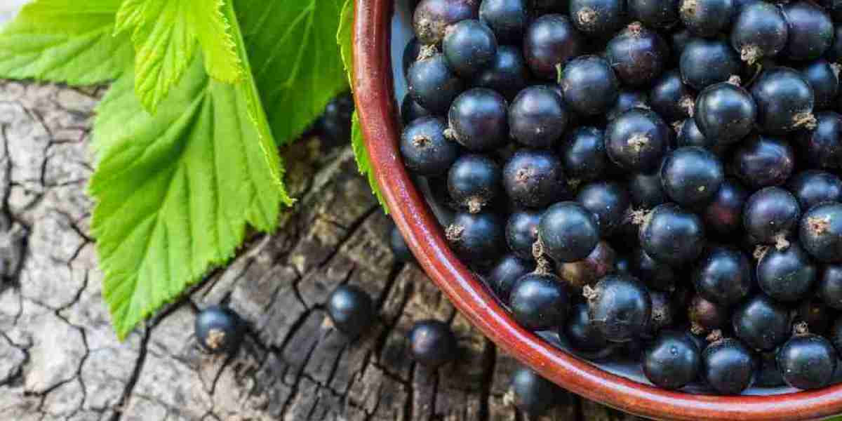 Blackcurrant Extract Market: Leveraging Winning Strategies for Market Growth