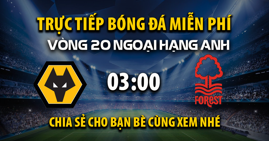 Trực tiếp Wolverhampton vs Nottingham Forest full lúc 03:00, ngày 07/01