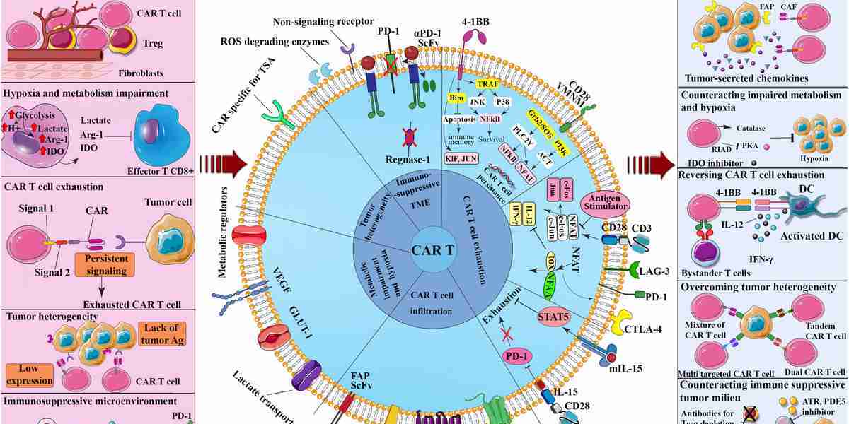 How Effective is CAR T-Cell Therapy for Multiple Myeloma?