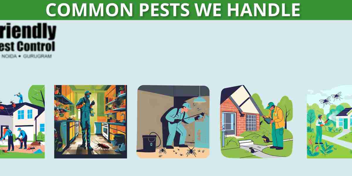 Best Pest Control Services in Noida