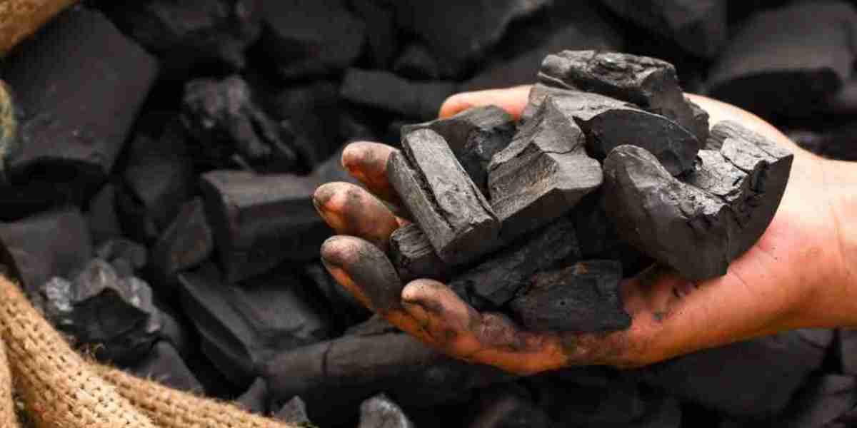 Charcoal Market: Trends, Growth Opportunities, and Future Outlook