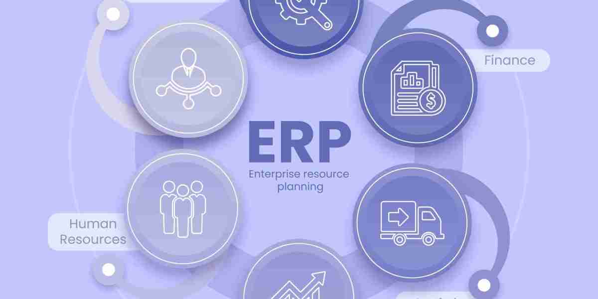 Transform Your Business with SAP ERP Software Jaipur