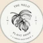 The Melo Plant Shop A Green Boutique