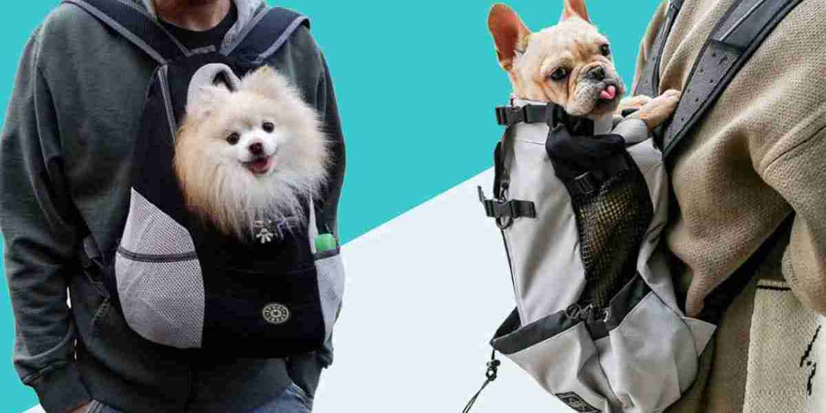 Choosing the Best Puppy in Carrier for Your Dog's Comfort in the UK