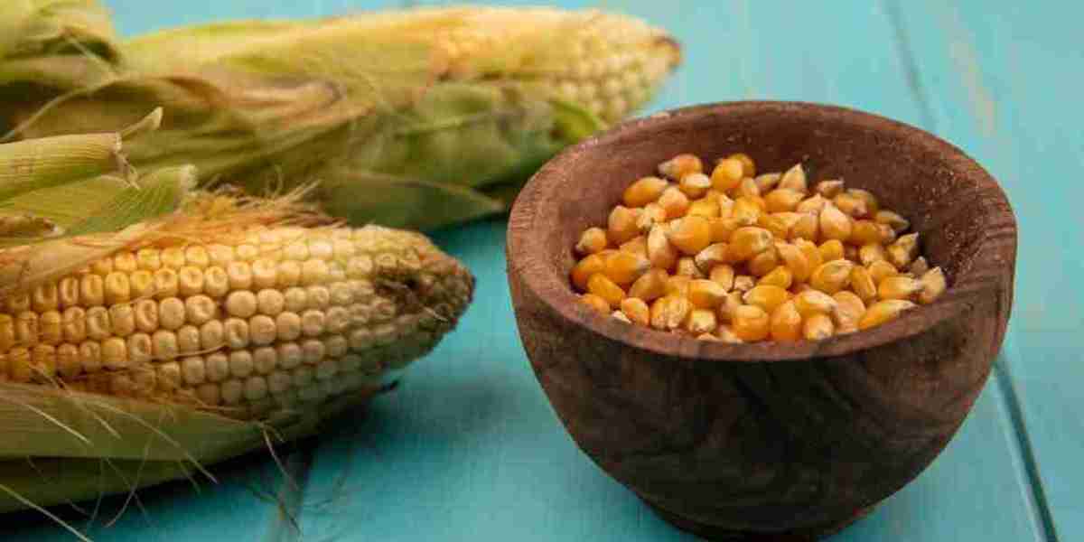 Corn Oil Market Evolution: Key Innovations and Emerging Opportunities