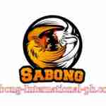 sabong international ph