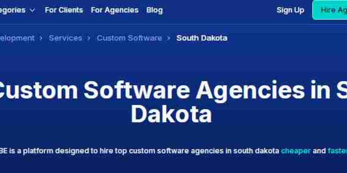 Hire Professional Custom Software Experts in South Dakota: A Thoughtful Choice