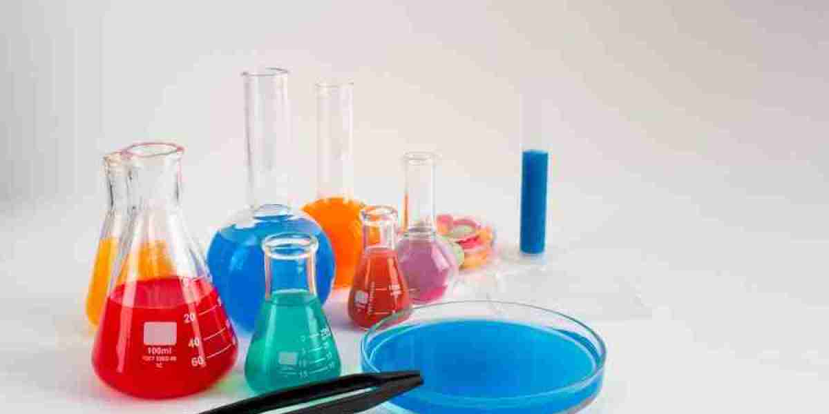 Chiral Chemicals Market Overview: Future Outlook, Market Share, and Growth Opportunities