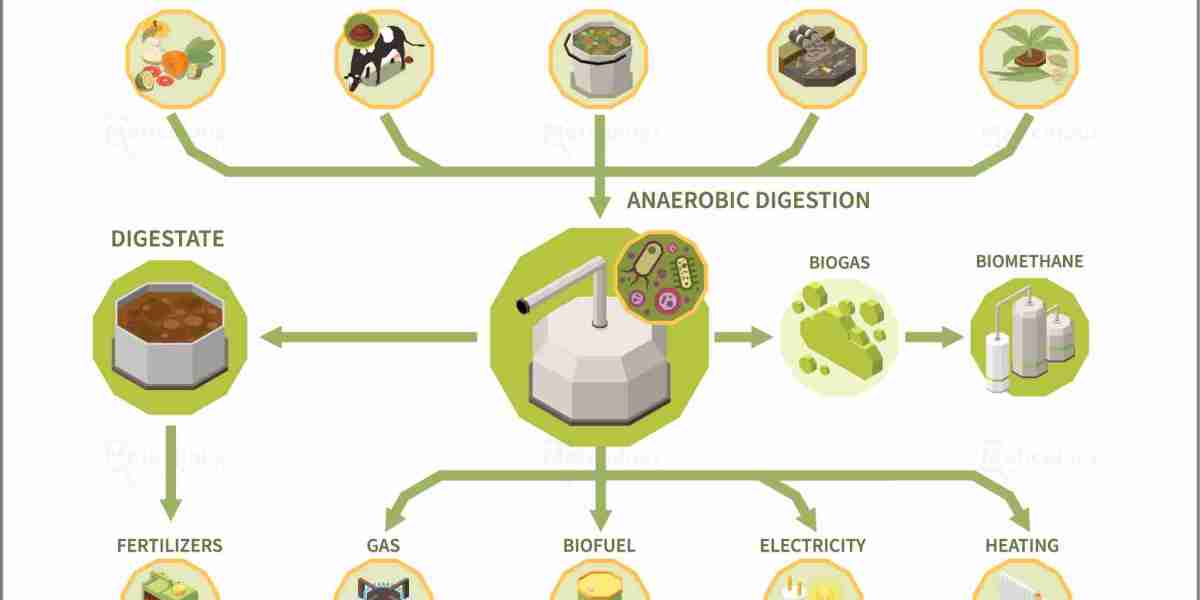 Anaerobic Digestion: A Key Pillar in Renewable Energy Evolution