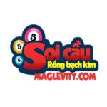 Soi Cầu Rồng Bạch Kim