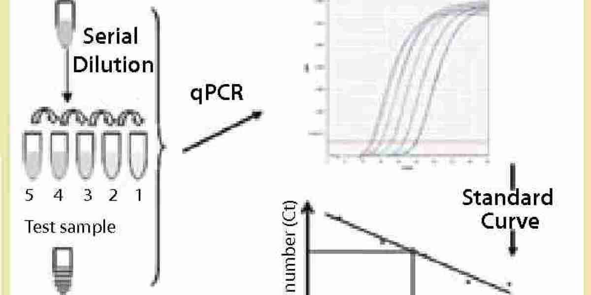 Creative Diagnostics Launches Advanced Mammalian DNA Residue Assay Kits (qPCR) for Enhanced Biopharmaceutical Research