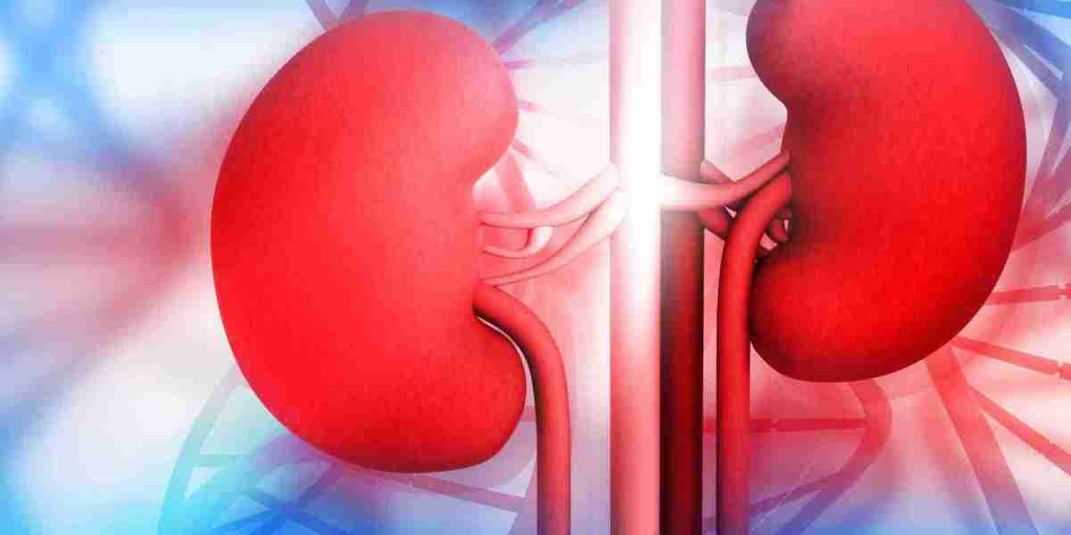 Aksa Ayurveda Perspective on Kidney Disease Treatment through Ayurvedic Medicine