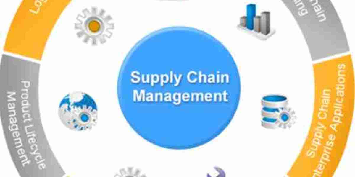 Supply Chain as a Service (SCaaS) Market: Identifying Key Pain Points and Competitive Strategies for Industry Success