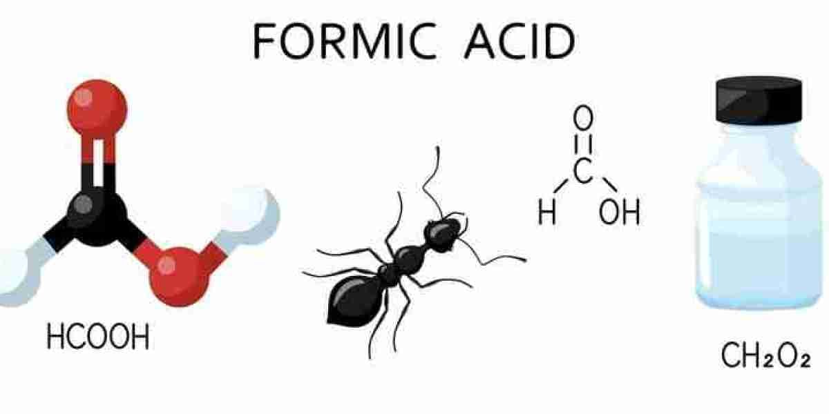 Formic Acid: An Essential and Naturally Occurring Organic Acid