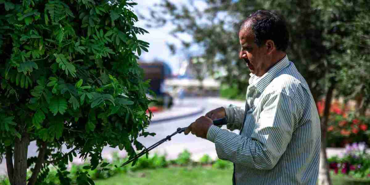 Professional Tree Service in New Orleans You Can Trust