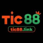 Tic88 link