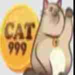 cat999 kim