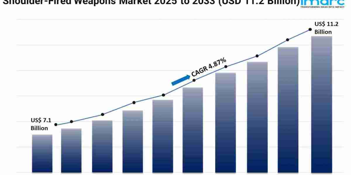 Shoulder-Fired Weapons Market Size & Growth Forecast 2025-2033