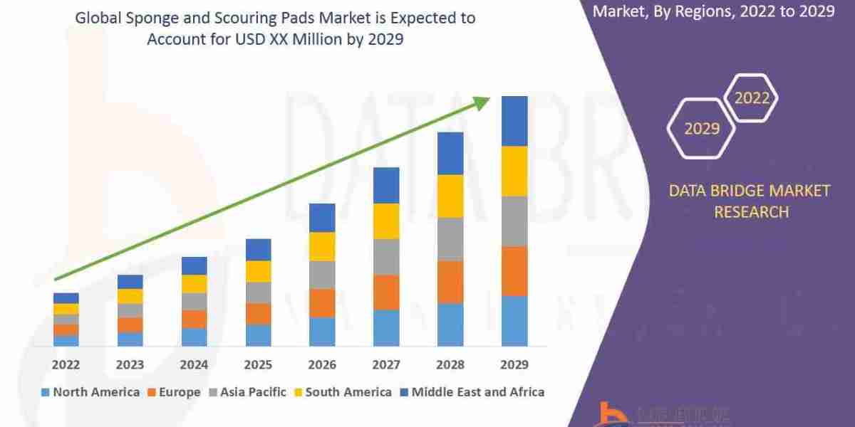 Sponge and Scouring Pads Market: Essentials for Modern Cleaning Solutions