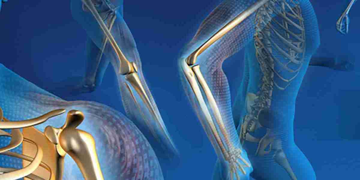 Orthopedic Navigation Systems Market Overview