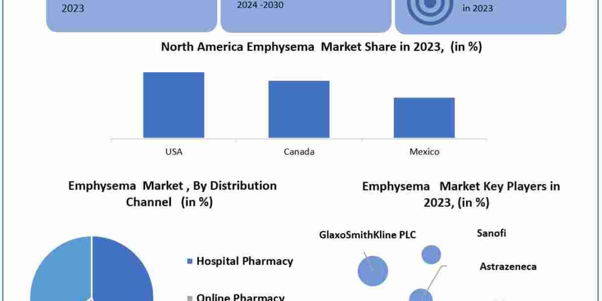 Emphysema Market 	Worth the Numbers: Size, Share, Revenue, and Statistics Overview | 2024-2030