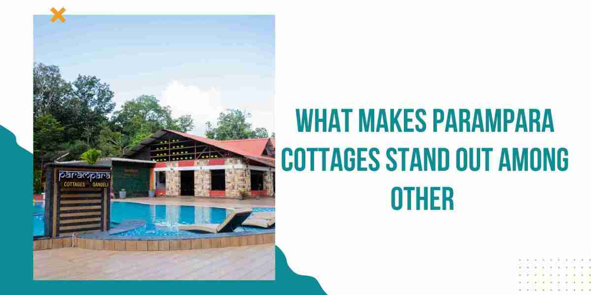 What Makes Parampara Cottages Stand Out Among Other Homestays in Dandeli?