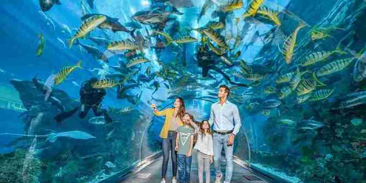 Interesting Facts on Dubai Aquarium And Underwater Zoo