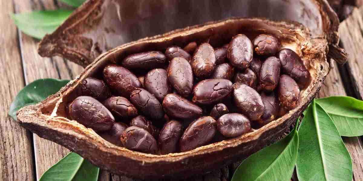 Cocoa Market Drivers, Trends, and Insights Shaping Future Growth and Market Dynamics