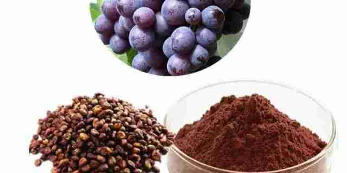 Grape Skin Extract Market Scope: Comprehensive Overview of Growth Opportunities and Future Trends