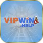 vipwinhelp vipwinhelp