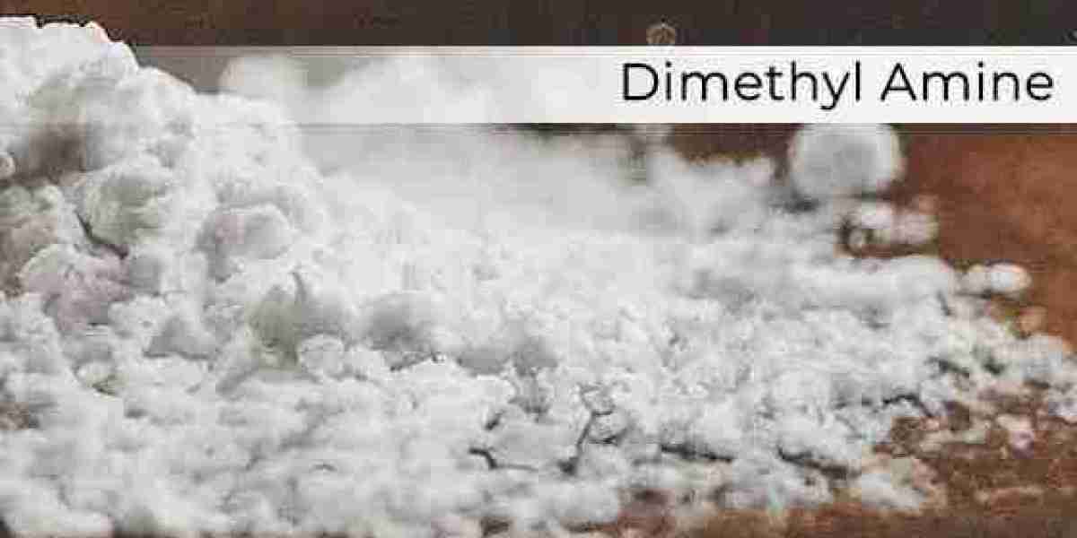 Dimethyl Amine Prices, News, Trend, Graph, Chart, Forecast and Historical