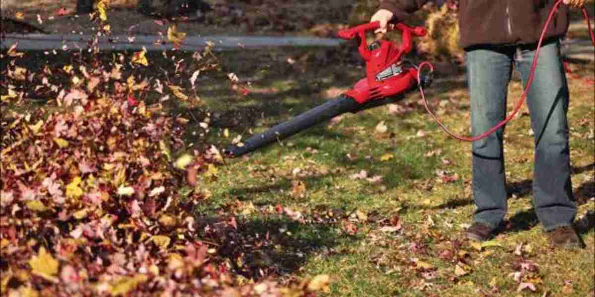 Top Reasons Why You Need Fall Leaf Cleanup This Season