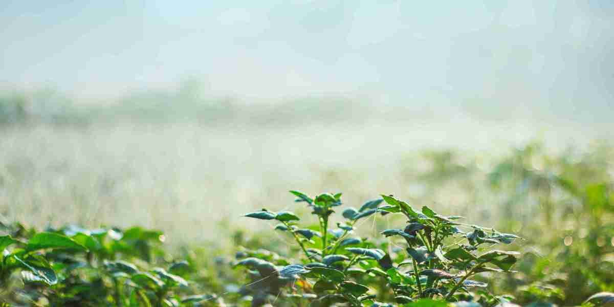 How Specialized Bio-Components Improve Crop Yield and Pest Control