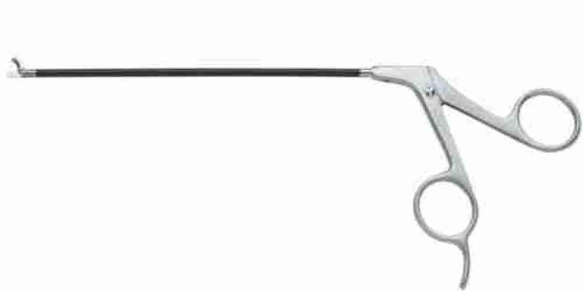 Endoscopic Instruments: Precision Tools for Minimally Invasive Procedures